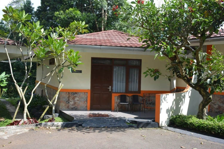 Bungalow
