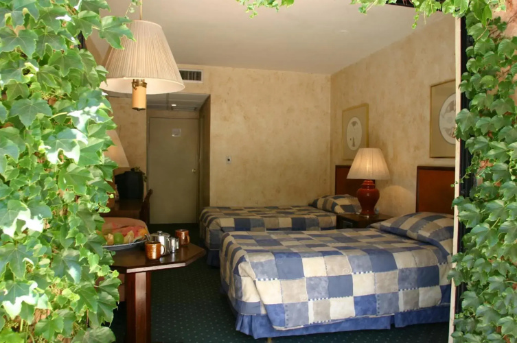 Petra Palace Hotel