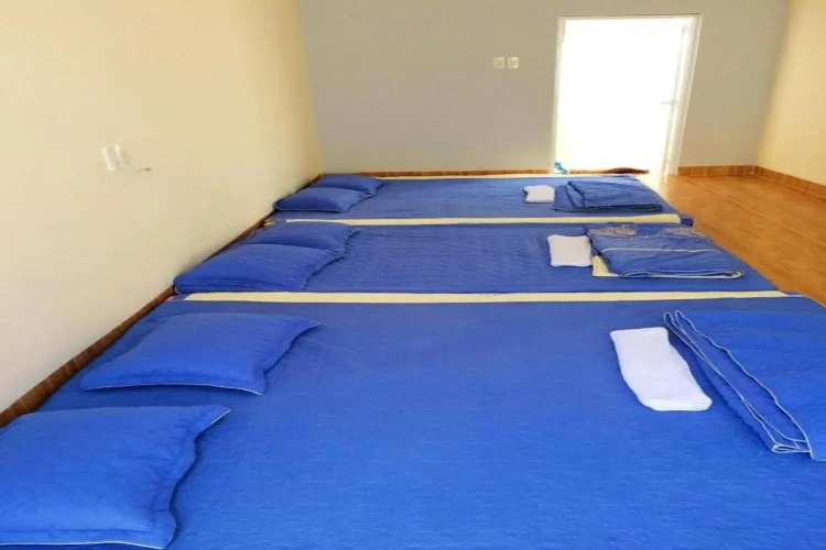 Bed in Dorm