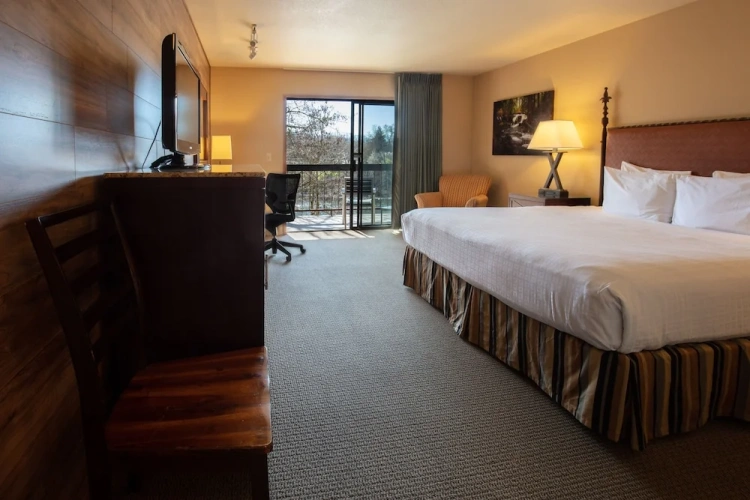 Standard Double room with balcony and with river view