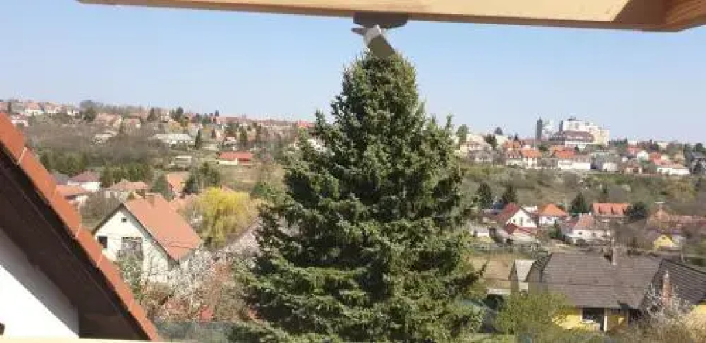 Arat Vendghz