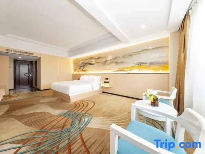 Standard Double room with city view