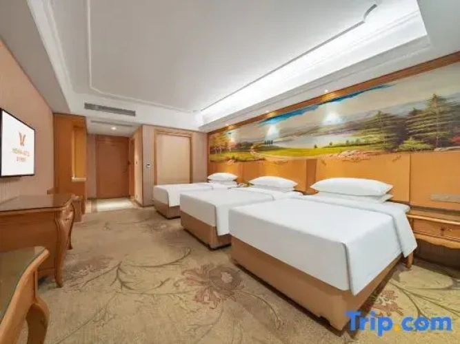 Deluxe Twin Family room