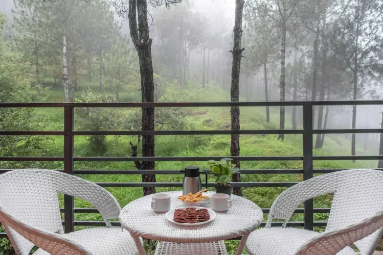 Kasauli hill Crest