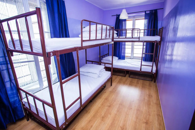Pink Panther's Hostel