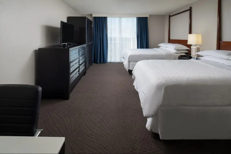 1 Bedroom Quadruple Suite