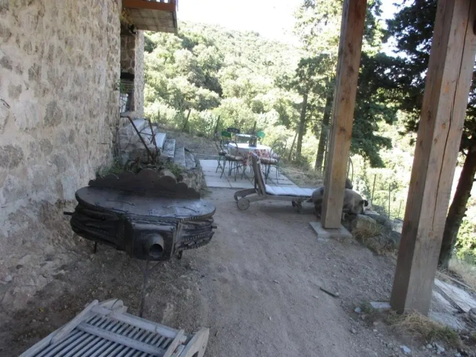 Family Studio