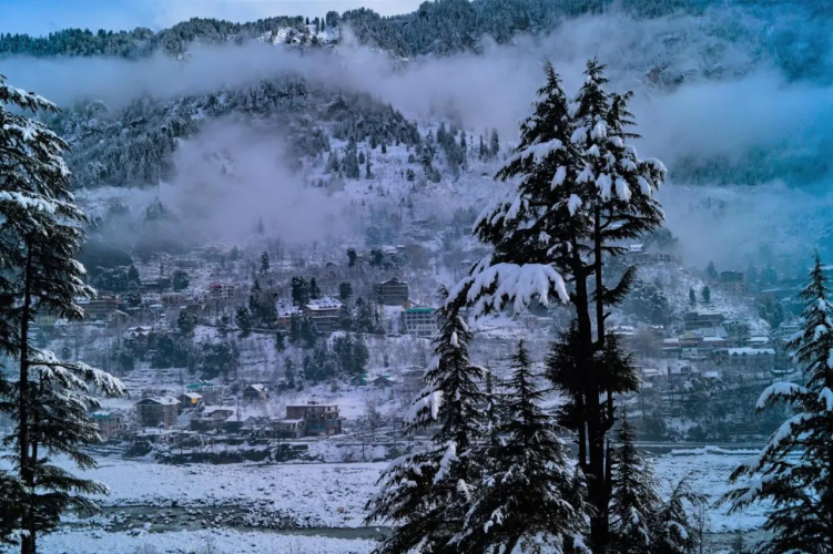 Alt Life Manali