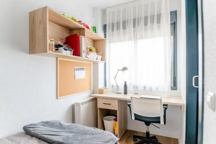 Economy Single room