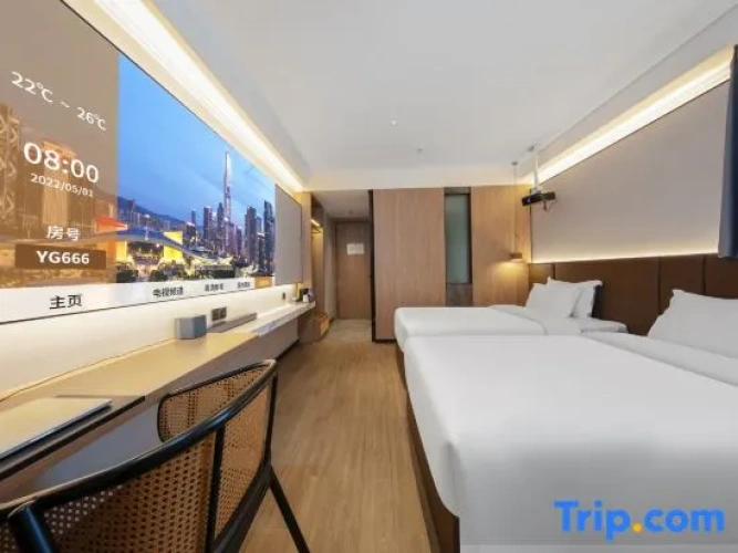 Twin Suite