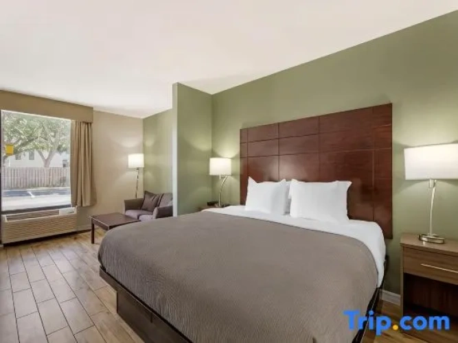 Single Suite