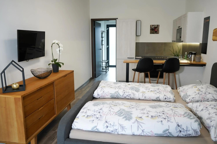 Hofmann Apartment