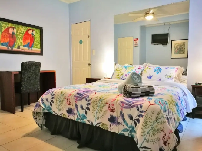 Classic Double Suite