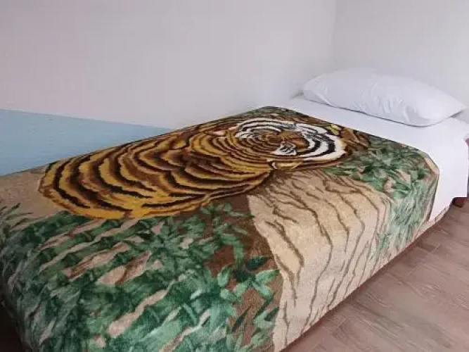 Apartment Cajt