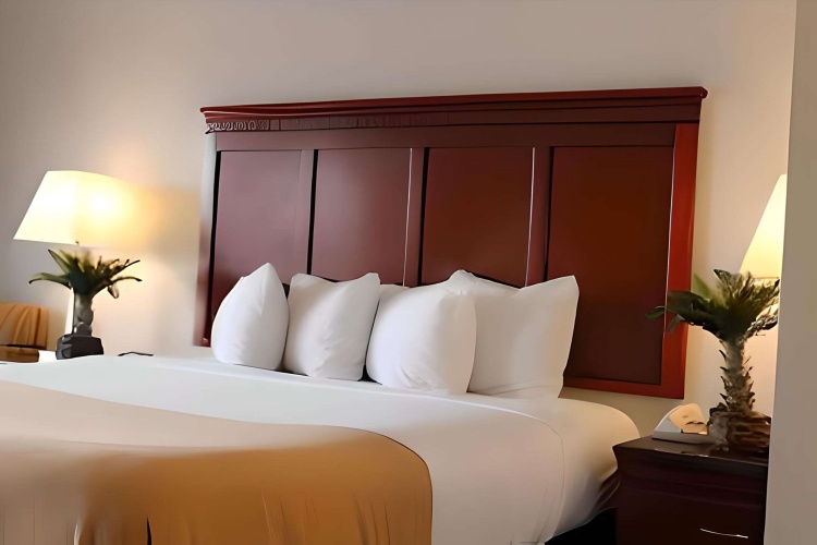 Rodeway Inn Santa Clara El Camino Real