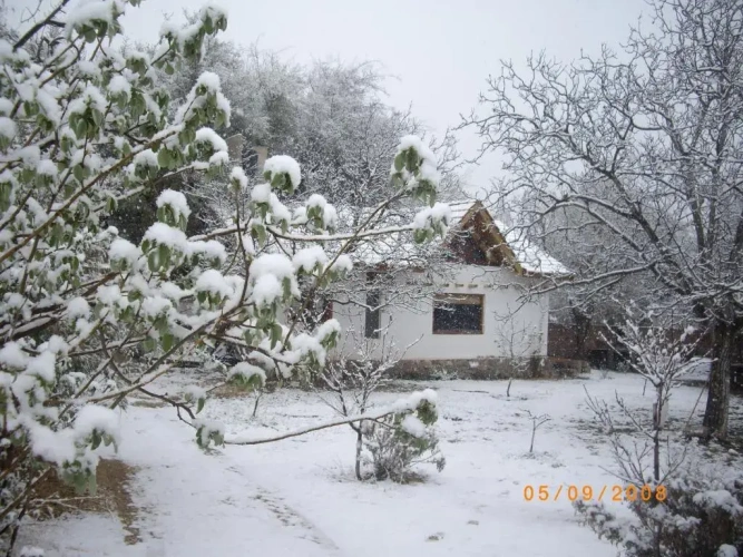 Bungalow