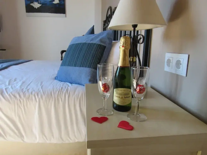 Standard Double room with balcony and with garden view