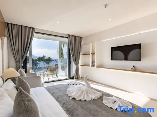 Standard Double room with balcony and with sea view