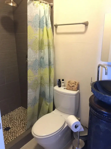 Luxury Tiny House