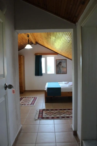 Comfort Suite