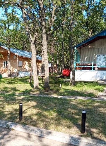 Фотография номера базы отдыха Дубки у Валентины