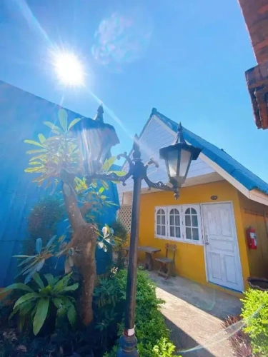 Standard Bungalow with view