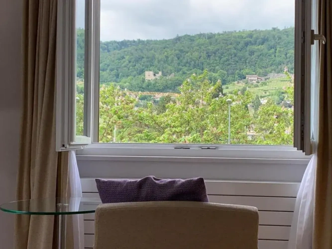 Standard Double room with mountain view
