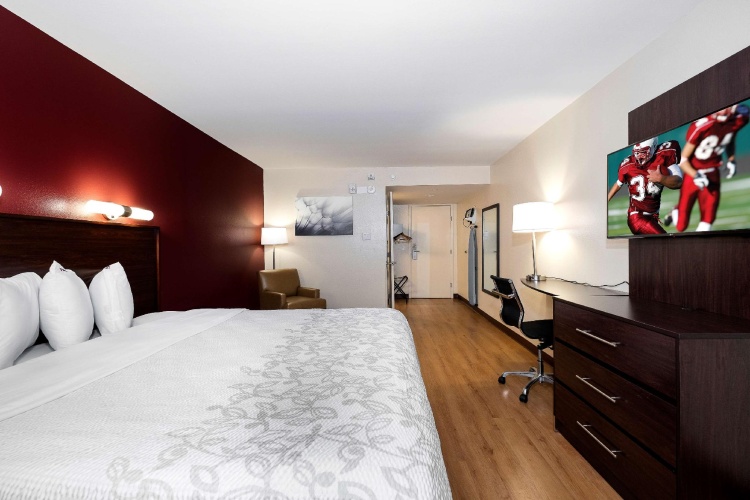 Single Suite