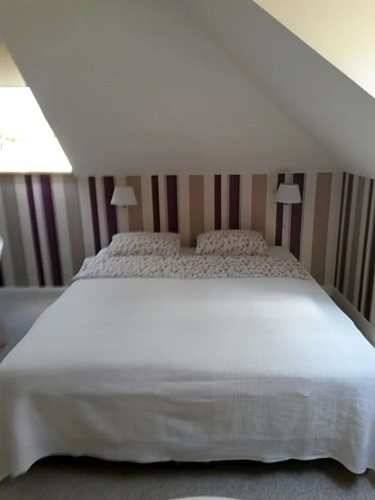 B&B Kamelia