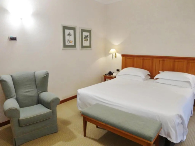 Hotel Excelsior Magenta