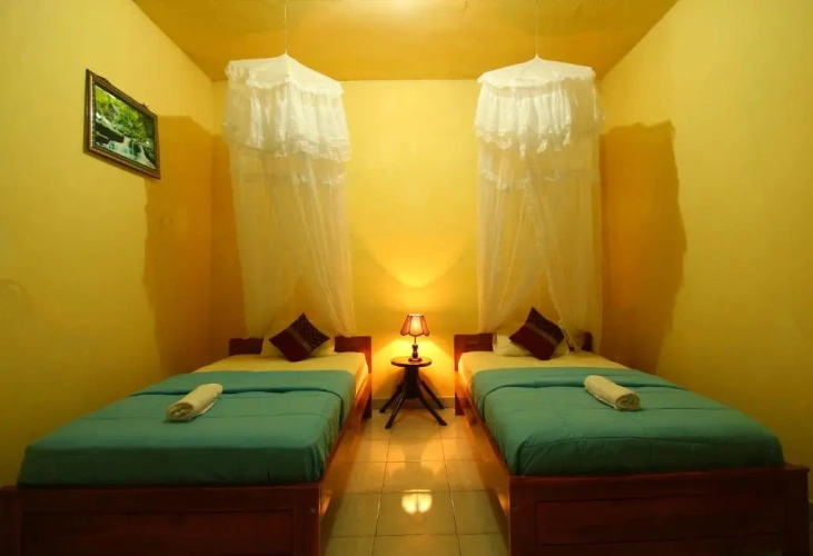 Standard Twin room with mountain view