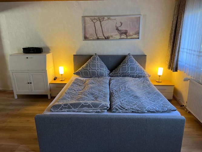 Double Basement Apartment