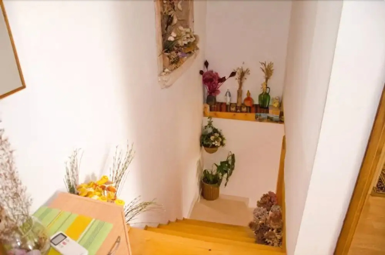 Apartment Miho