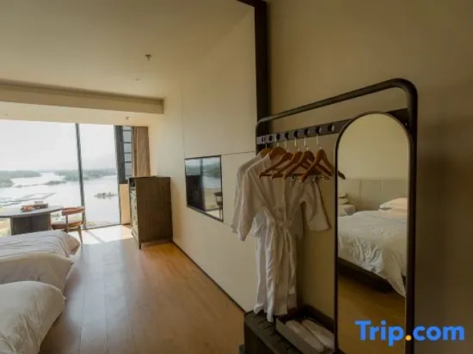 Standard Double room with lake view
