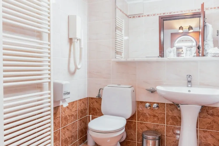 Standard Double room with balcony and with sea view
