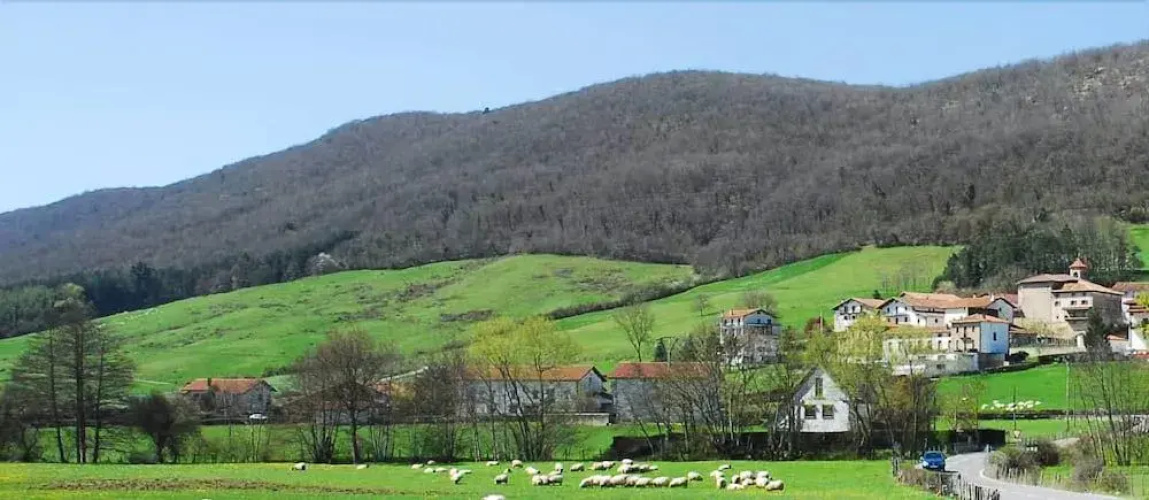 Rural Iribarnia