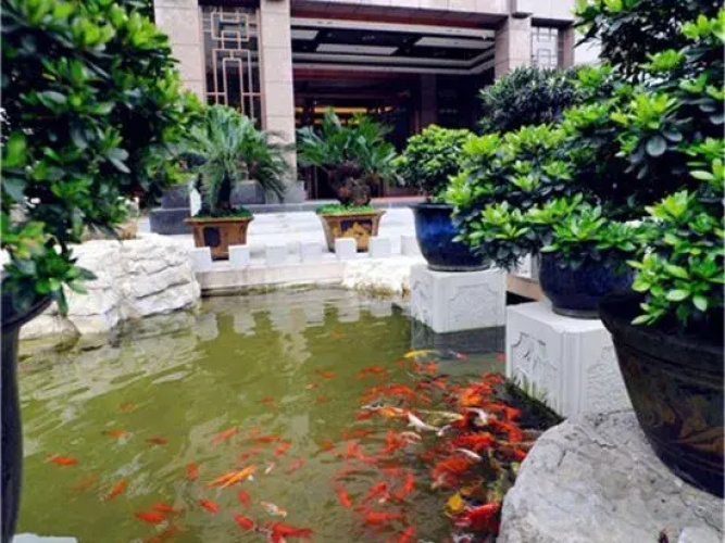 Tabao Garden