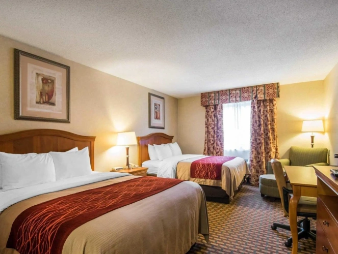 Standard Double room