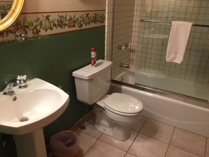 Superior Double room with mountain view