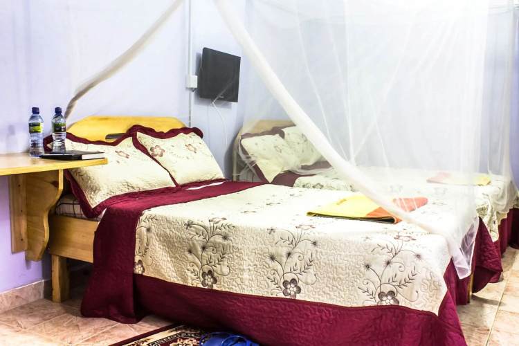 Citadel Guest House