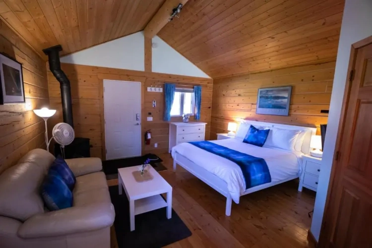 Standard Double room with view