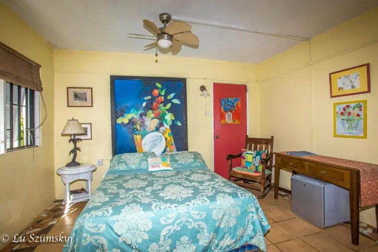 Standard Double room with garden view