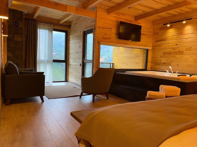 Deluxe room with balcony and with mountain view