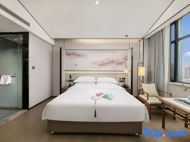 1 Bedroom Suite