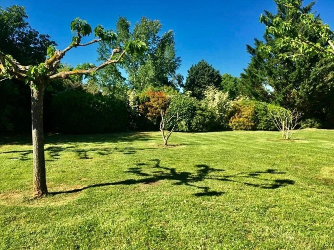 sous la tonnelle
