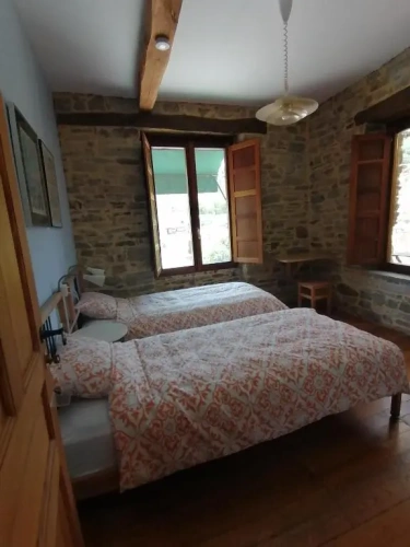 Standard Twin room with view