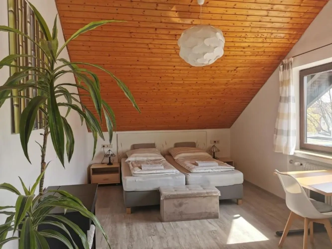 Standard Apartment
