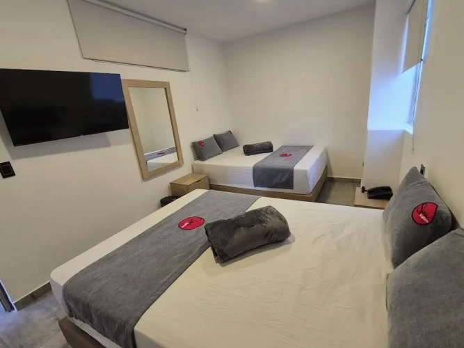 1 Bedroom Standard Quadruple Family room