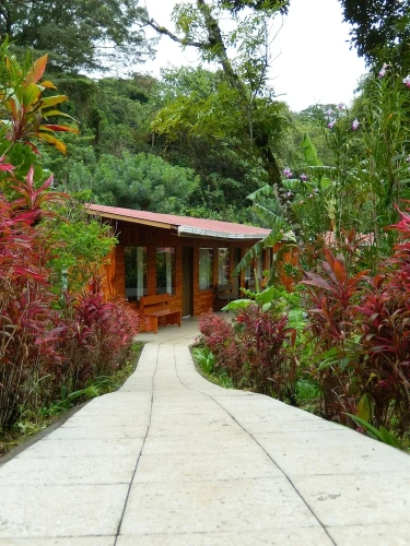 Standard Twin room with garden view