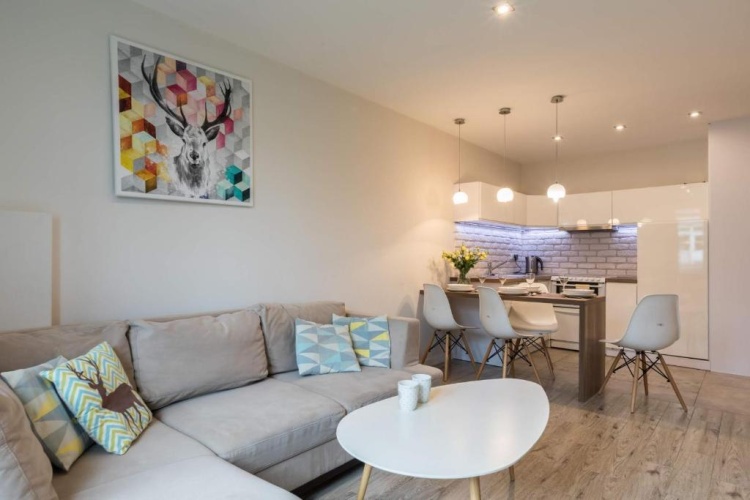 1 Bedroom Apartment